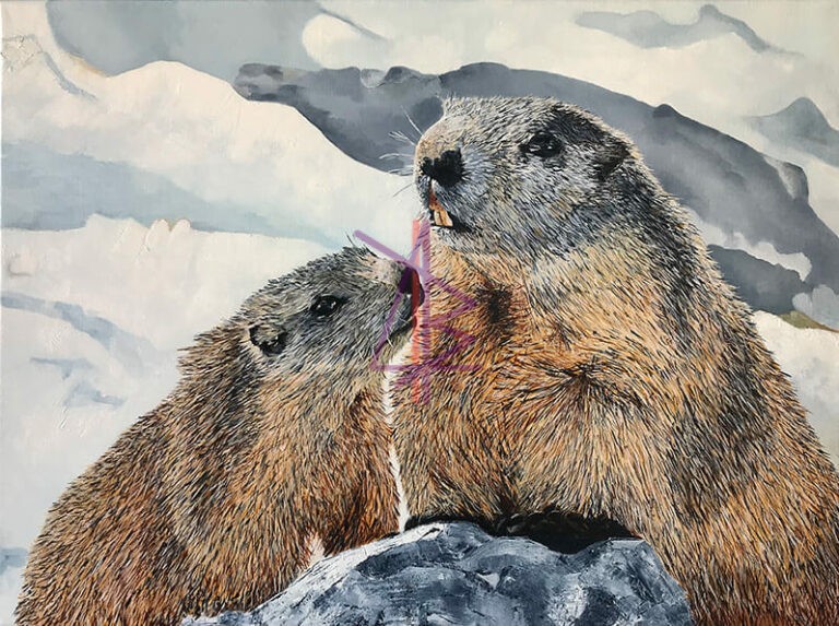 Marmottine et Marmotton
