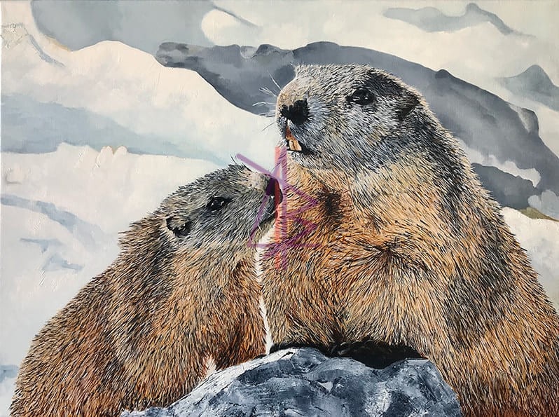 Marmottine et Marmotton